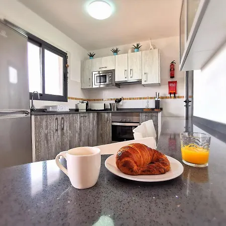 Zinnia * 普拉亚布兰卡