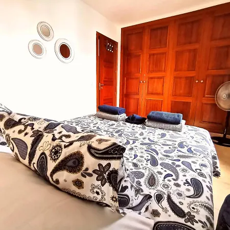 Zinnia * 普拉亚布兰卡