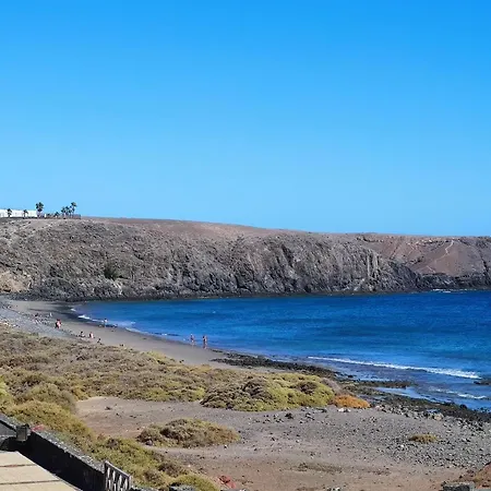 Zinnia * Playa Blanca (Lanzarote)