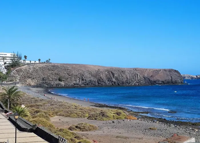 Zinnia * بلايا بلانكا